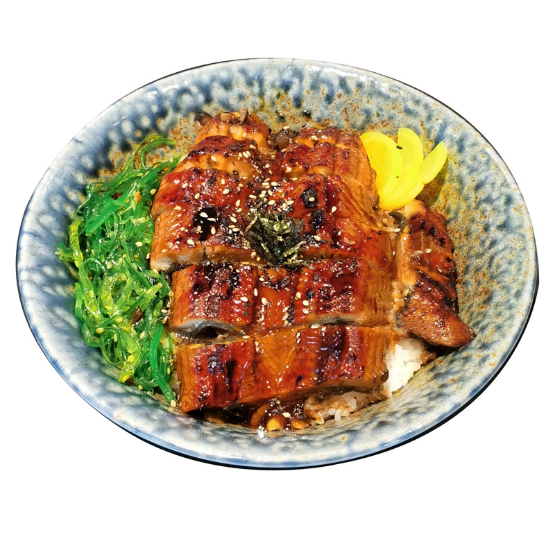 A01.Unagi Don